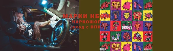 индика Бронницы