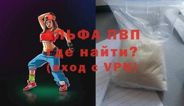 индика Бронницы