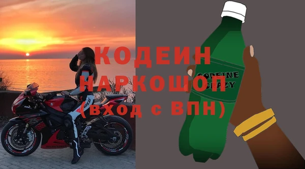 индика Бронницы