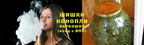 индика Бронницы
