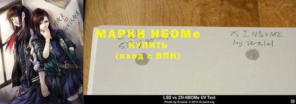 индика Бронницы