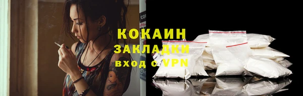индика Бронницы