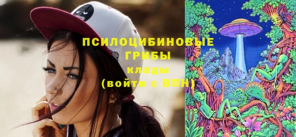 марки nbome Бородино