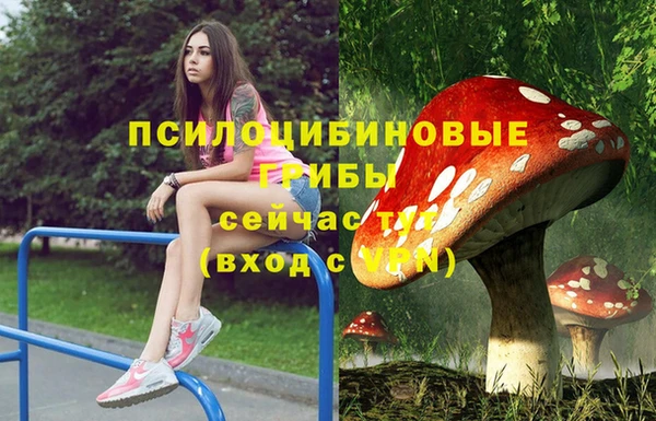 марки nbome Бородино