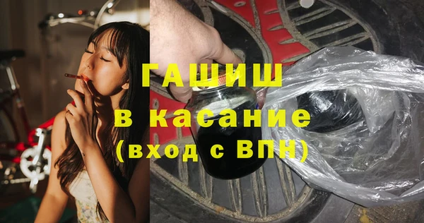 индика Бронницы