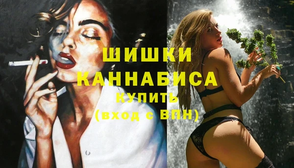 индика Бронницы