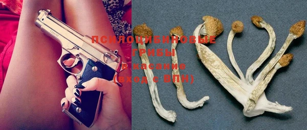 индика Бронницы