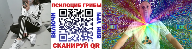 Псилоцибиновые грибы ЛСД  Купить  Луховицы 